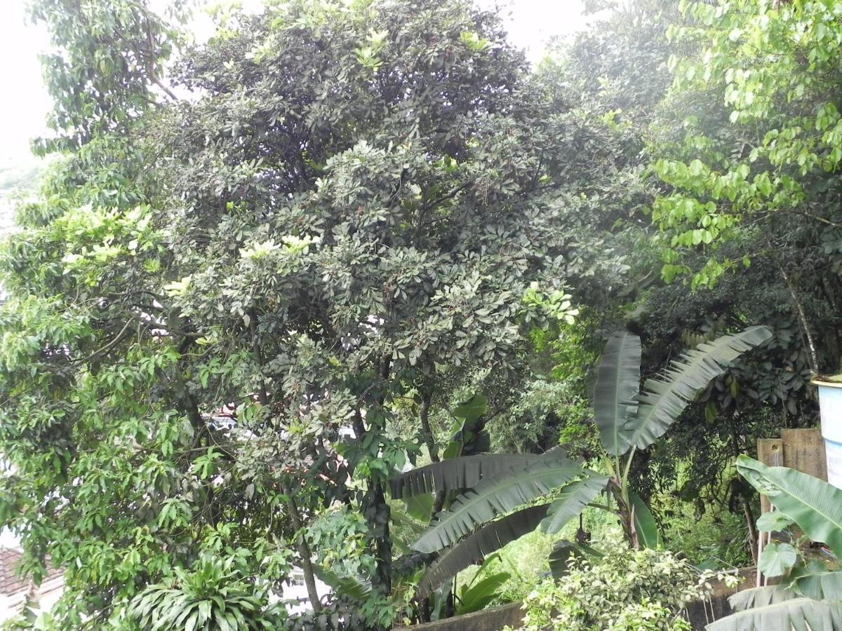 Aconchego e Requinte no Centro Petropolis (Rio de Janeiro) Exterior foto